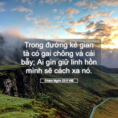 Picture 05 - Châm Ngôn 22:5 VIE - Trong đường kẻ gian tà có gai chông và - Bible Verse Picture