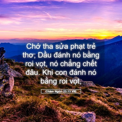 Picture 05 - Châm Ngôn 23:13 VIE - Chớ tha sửa phạt trẻ thơ; Dầu đánh - Bible Verse Picture