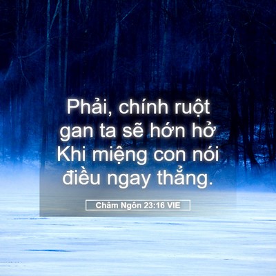 Picture 05 - Châm Ngôn 23:16 VIE - Phải, chính ruột gan ta sẽ hớn hở Khi - Bible Verse Picture