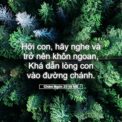 Picture 05 - Châm Ngôn 23:19 VIE - Hỡi con, hãy nghe và trở nên khôn ngoan, - Bible Verse Picture