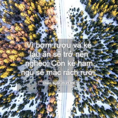 Picture 05 - Châm Ngôn 23:21 VIE - Vì bợm rượu và kẻ láu ăn sẽ trở - Bible Verse Picture