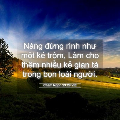 Picture 05 - Châm Ngôn 23:28 VIE - Nàng đứng rình như một kẻ trộm, Làm - Bible Verse Picture