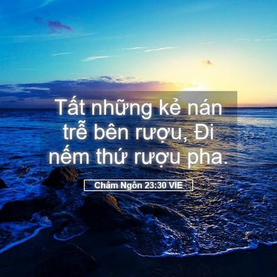 Picture 05 - Châm Ngôn 23:30 VIE - Tất những kẻ nán trễ bên rượu, Đi - Bible Verse Picture