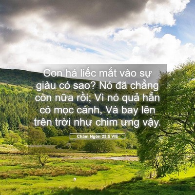 Picture 05 - Châm Ngôn 23:5 VIE - Con há liếc mắt vào sự giàu có sao? Nó - Bible Verse Picture