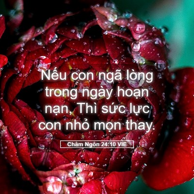 Picture 05 - Châm Ngôn 24:10 VIE - Nếu con ngã lòng trong ngày hoạn nạn, - Bible Verse Picture