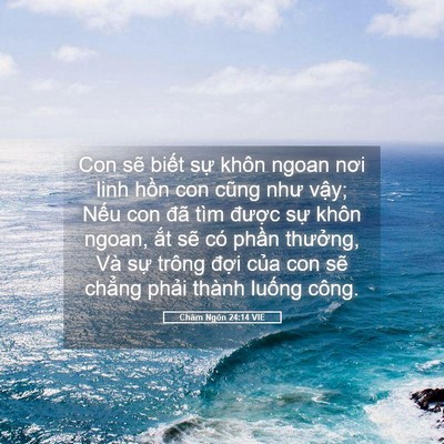 Picture 05 - Châm Ngôn 24:14 VIE - Con sẽ biết sự khôn ngoan nơi linh hồn - Bible Verse Picture