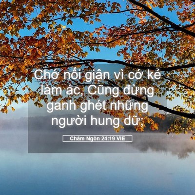 Picture 05 - Châm Ngôn 24:19 VIE - Chớ nổi giận vì cớ kẻ làm ác, Cũng - Bible Verse Picture