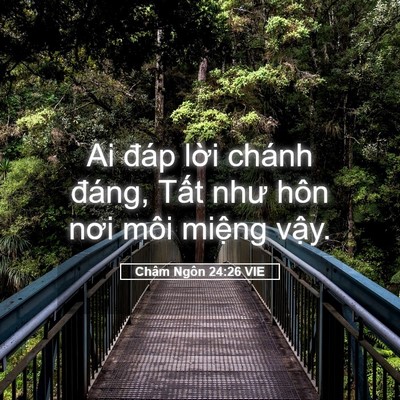Picture 05 - Châm Ngôn 24:26 VIE - Ai đáp lời chánh đáng, Tất như hôn - Bible Verse Picture