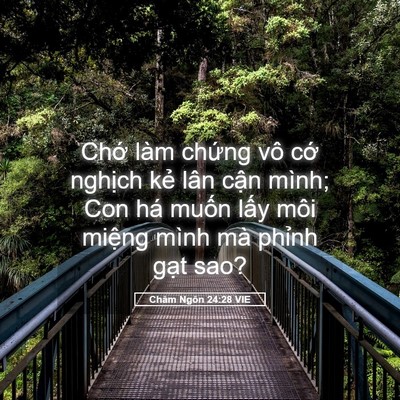 Picture 05 - Châm Ngôn 24:28 VIE - Chớ làm chứng vô cớ nghịch kẻ lân - Bible Verse Picture