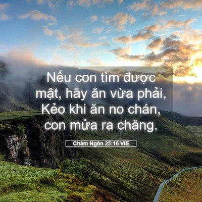 Picture 05 - Châm Ngôn 25:16 VIE - Nếu con tìm được mật, hãy ăn vừa - Bible Verse Picture