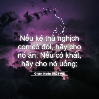 Picture 05 - Châm Ngôn 25:21 VIE - Nếu kẻ thù nghịch con có đói, hãy cho - Bible Verse Picture