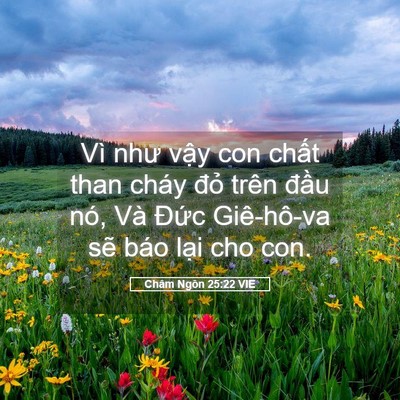 Picture 05 - Châm Ngôn 25:22 VIE - Vì như vậy con chất than cháy đỏ trên - Bible Verse Picture