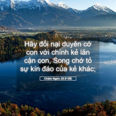 Picture 05 - Châm Ngôn 25:9 VIE - Hãy đối nại duyên cớ con với chính - Bible Verse Picture