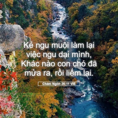 Picture 05 - Châm Ngôn 26:11 VIE - Kẻ ngu muội làm lại việc ngu dại - Bible Verse Picture