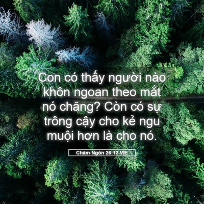 Picture 05 - Châm Ngôn 26:12 VIE - Con có thấy người nào khôn ngoan theo - Bible Verse Picture