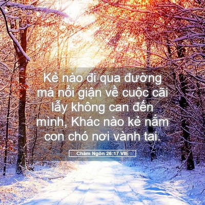 Picture 05 - Châm Ngôn 26:17 VIE - Kẻ nào đi qua đường mà nổi giận về - Bible Verse Picture