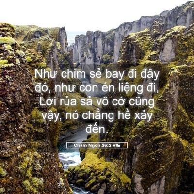 Picture 05 - Châm Ngôn 26:2 VIE - Như chim sẻ bay đi đây đó, như con én - Bible Verse Picture