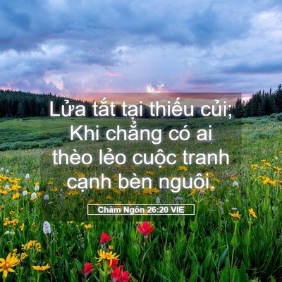 Picture 05 - Châm Ngôn 26:20 VIE - Lửa tắt tại thiếu củi; Khi chẳng có - Bible Verse Picture