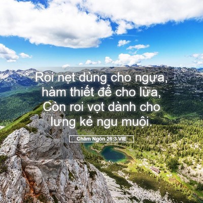 Picture 05 - Châm Ngôn 26:3 VIE - Roi nẹt dùng cho ngựa, hàm thiết để - Bible Verse Picture