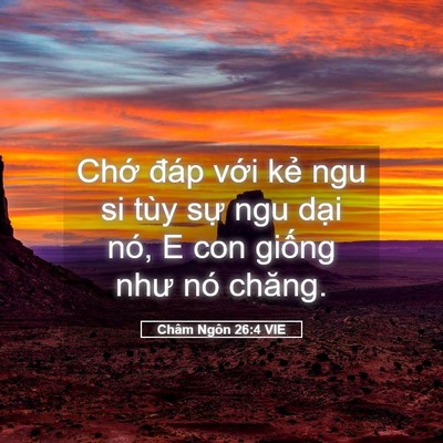 Picture 05 - Châm Ngôn 26:4 VIE - Chớ đáp với kẻ ngu si tùy sự ngu dại - Bible Verse Picture