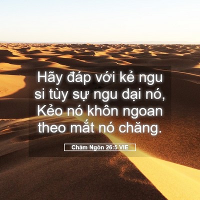 Picture 05 - Châm Ngôn 26:5 VIE - Hãy đáp với kẻ ngu si tùy sự ngu dại - Bible Verse Picture