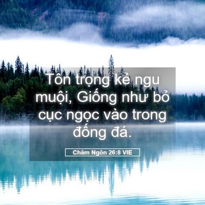 Picture 05 - Châm Ngôn 26:8 VIE - Tôn trọng kẻ ngu muội, Giống như bỏ - Bible Verse Picture