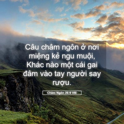 Picture 05 - Châm Ngôn 26:9 VIE - Câu châm ngôn ở nơi miệng kẻ ngu - Bible Verse Picture