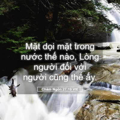 Picture 05 - Châm Ngôn 27:19 VIE - Mặt dọi mặt trong nước thế nào, Lòng - Bible Verse Picture