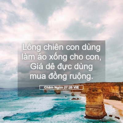 Picture 05 - Châm Ngôn 27:26 VIE - Lông chiên con dùng làm áo xống cho con, - Bible Verse Picture