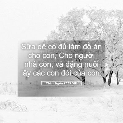 Picture 05 - Châm Ngôn 27:27 VIE - Sữa dê có đủ làm đồ ăn cho con, Cho - Bible Verse Picture
