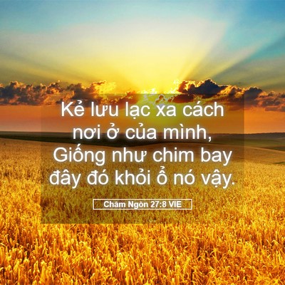 Picture 05 - Châm Ngôn 27:8 VIE - Kẻ lưu lạc xa cách nơi ở của mình, - Bible Verse Picture