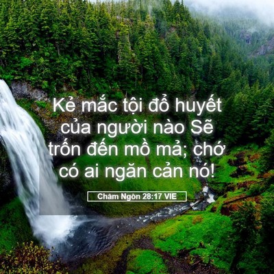 Picture 05 - Châm Ngôn 28:17 VIE - Kẻ mắc tội đổ huyết của người - Bible Verse Picture