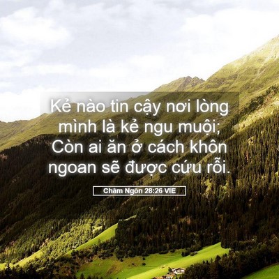Picture 05 - Châm Ngôn 28:26 VIE - Kẻ nào tin cậy nơi lòng mình là kẻ ngu - Bible Verse Picture