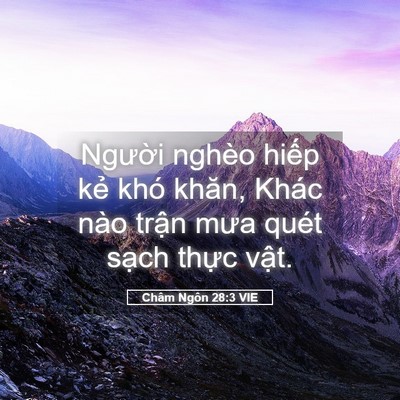 Picture 05 - Châm Ngôn 28:3 VIE - Người nghèo hiếp kẻ khó khăn, Khác - Bible Verse Picture