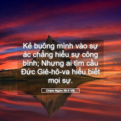 Picture 05 - Châm Ngôn 28:5 VIE - Kẻ buông mình vào sự ác chẳng hiểu - Bible Verse Picture