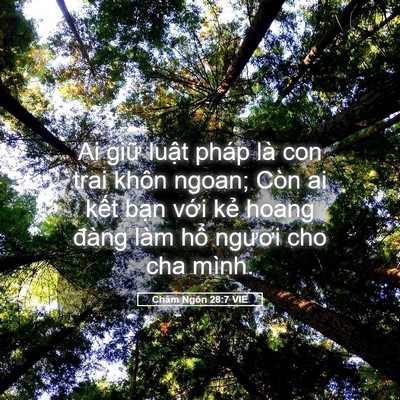 Picture 05 - Châm Ngôn 28:7 VIE - Ai giữ luật pháp là con trai khôn ngoan; - Bible Verse Picture