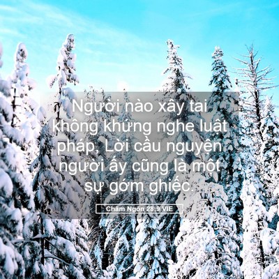 Picture 05 - Châm Ngôn 28:9 VIE - Người nào xây tai không khứng nghe luật - Bible Verse Picture