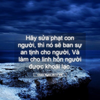 Picture 05 - Châm Ngôn 29:17 VIE - Hãy sửa phạt con người, thì nó sẽ ban - Bible Verse Picture