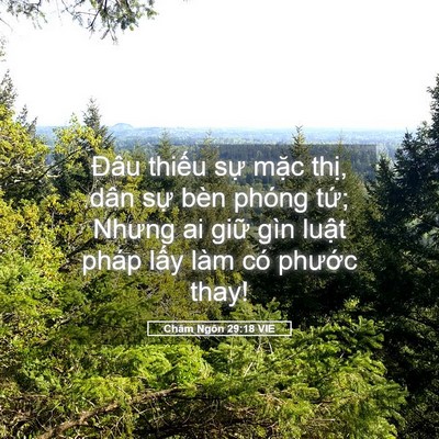 Picture 05 - Châm Ngôn 29:18 VIE - Đâu thiếu sự mặc thị, dân sự bèn - Bible Verse Picture