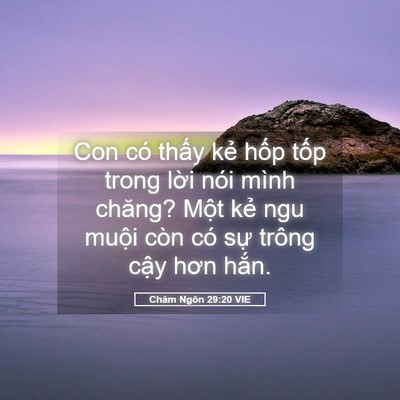 Picture 05 - Châm Ngôn 29:20 VIE - Con có thấy kẻ hốp tốp trong lời nói - Bible Verse Picture