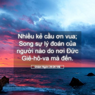 Picture 05 - Châm Ngôn 29:26 VIE - Nhiều kẻ cầu ơn vua; Song sự lý đoán - Bible Verse Picture