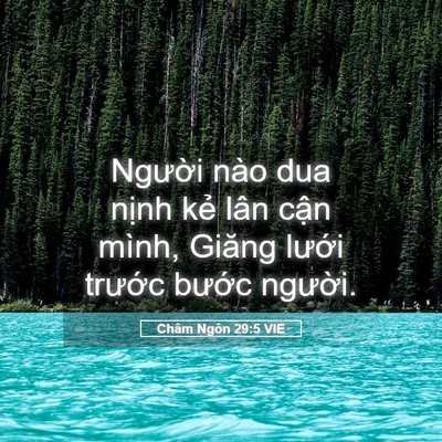 Picture 05 - Châm Ngôn 29:5 VIE - Người nào dua nịnh kẻ lân cận mình, - Bible Verse Picture
