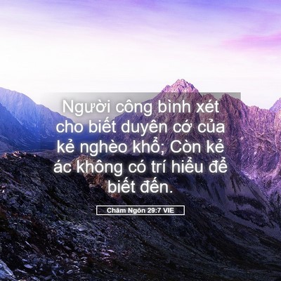 Picture 05 - Châm Ngôn 29:7 VIE - Người công bình xét cho biết duyên cớ - Bible Verse Picture