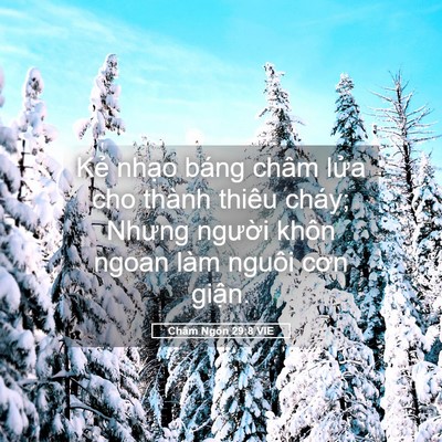Picture 05 - Châm Ngôn 29:8 VIE - Kẻ nhạo báng châm lửa cho thành thiêu - Bible Verse Picture