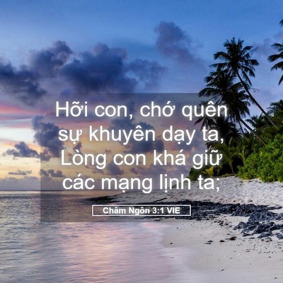 Picture 05 - Châm Ngôn 3:1 VIE - Hỡi con, chớ quên sự khuyên dạy ta, - Bible Verse Picture