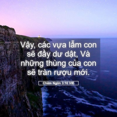 Picture 05 - Châm Ngôn 3:10 VIE - Vậy, các vựa lẫm con sẽ đầy dư - Bible Verse Picture