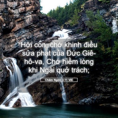 Picture 05 - Châm Ngôn 3:11 VIE - Hỡi con, chớ khinh điều sửa phạt của - Bible Verse Picture