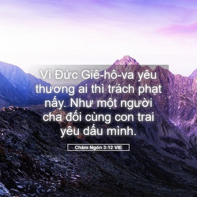 Picture 05 - Châm Ngôn 3:12 VIE - Vì Đức Giê-hô-va yêu thương ai thì - Bible Verse Picture