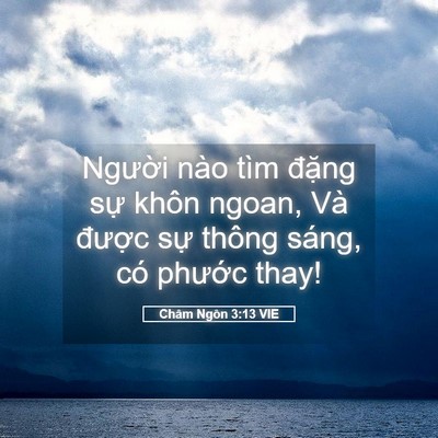 Picture 05 - Châm Ngôn 3:13 VIE - Người nào tìm đặng sự khôn ngoan, Và - Bible Verse Picture