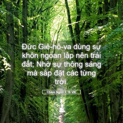 Picture 05 - Châm Ngôn 3:19 VIE - Đức Giê-hô-va dùng sự khôn ngoan lập - Bible Verse Picture